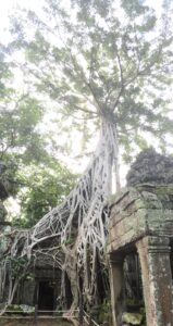 whatsapp image 2026 01 28 at 14.03.51